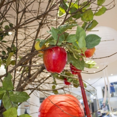 Foto SchmückKästchen (4)