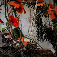 Foto SchmückKästchen (52)