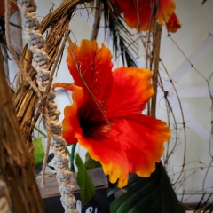 Foto SchmückKästchen (53)