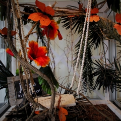 Foto SchmückKästchen (58)