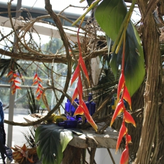 Foto SchmückKästchen (66)